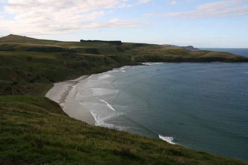 Nieuw-Zeeland 2011 - 1991